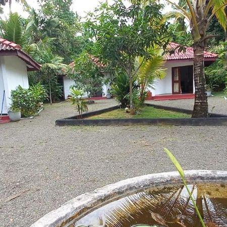 Blue Whale Lagoon Resort Ahangama Exterior foto