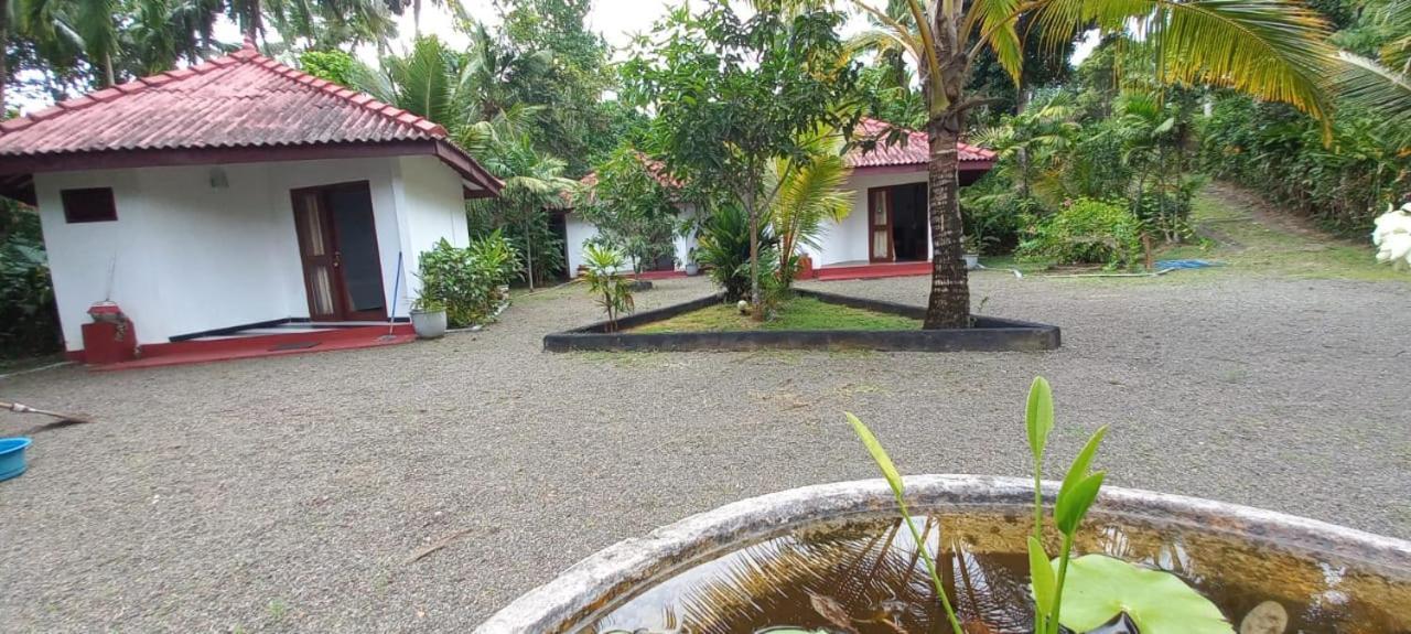 Blue Whale Lagoon Resort Ahangama Exterior foto