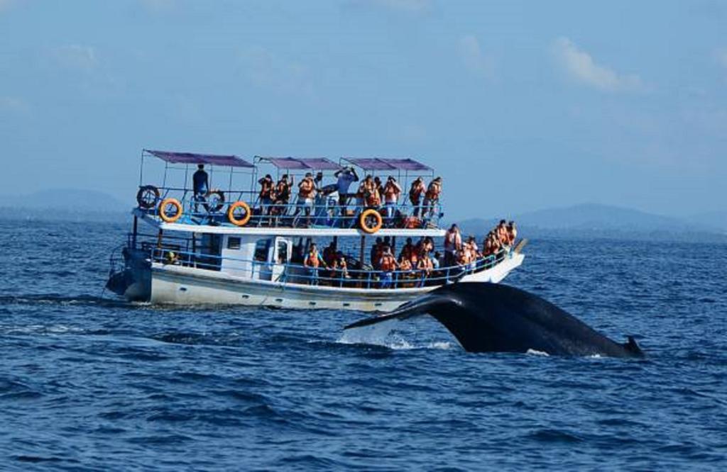 Blue Whale Lagoon Resort Ahangama Exterior foto