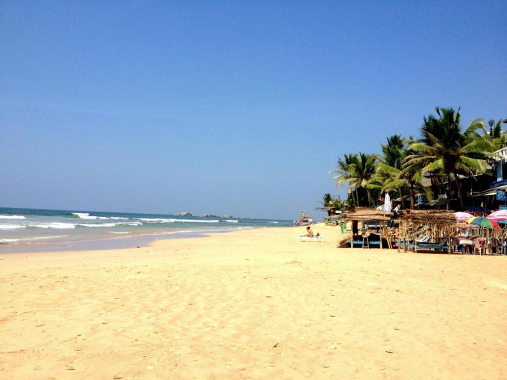 Blue Whale Lagoon Resort Ahangama Exterior foto