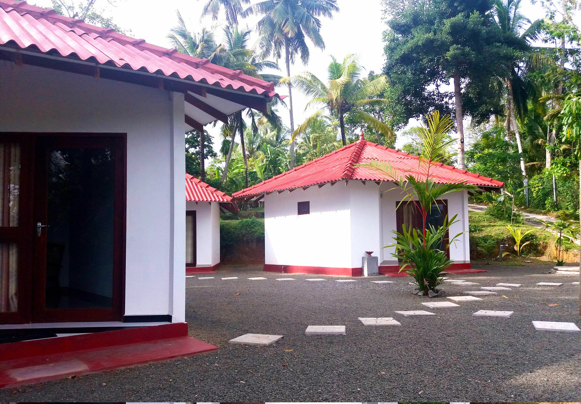 Blue Whale Lagoon Resort Ahangama Exterior foto