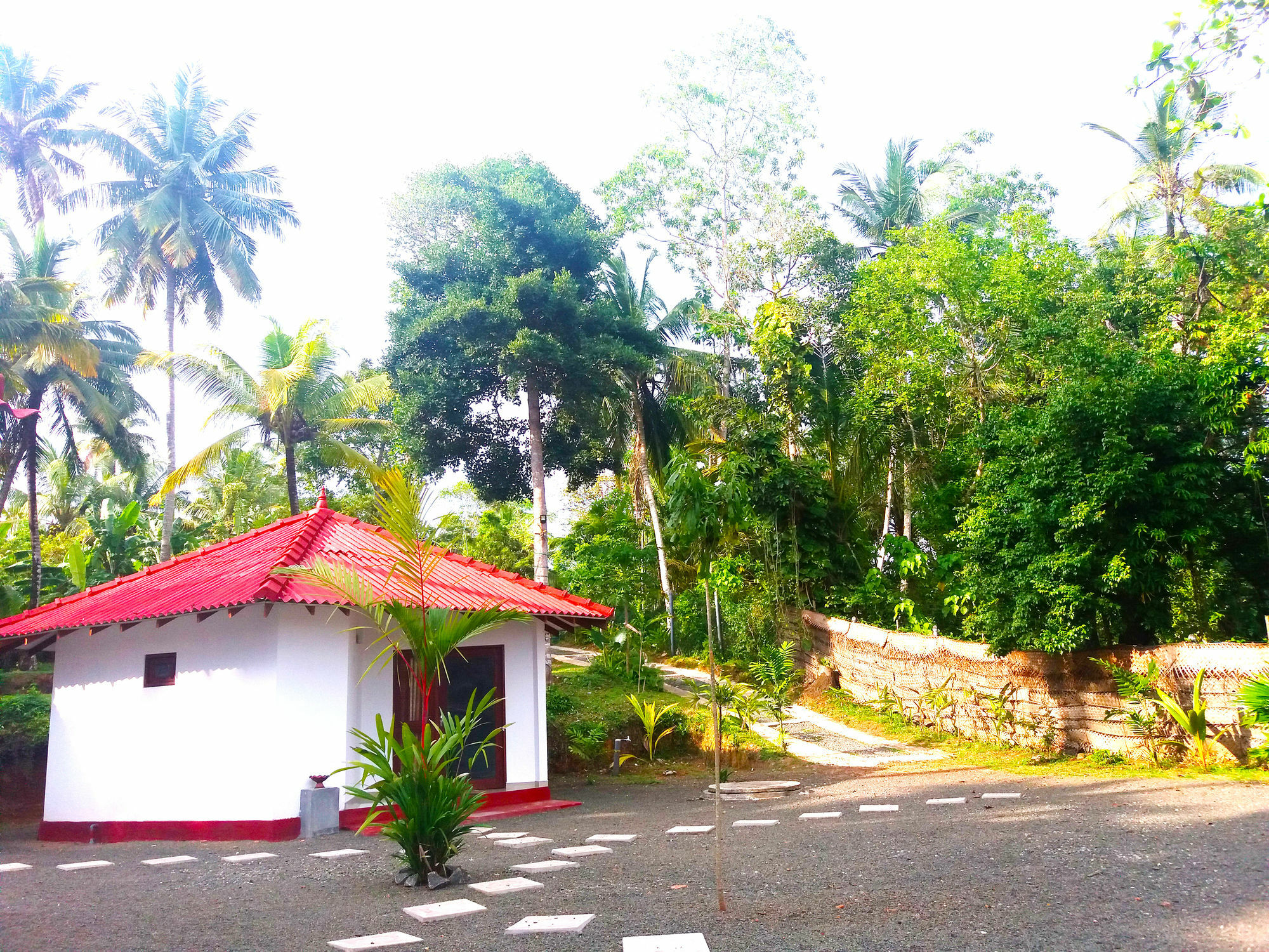 Blue Whale Lagoon Resort Ahangama Exterior foto