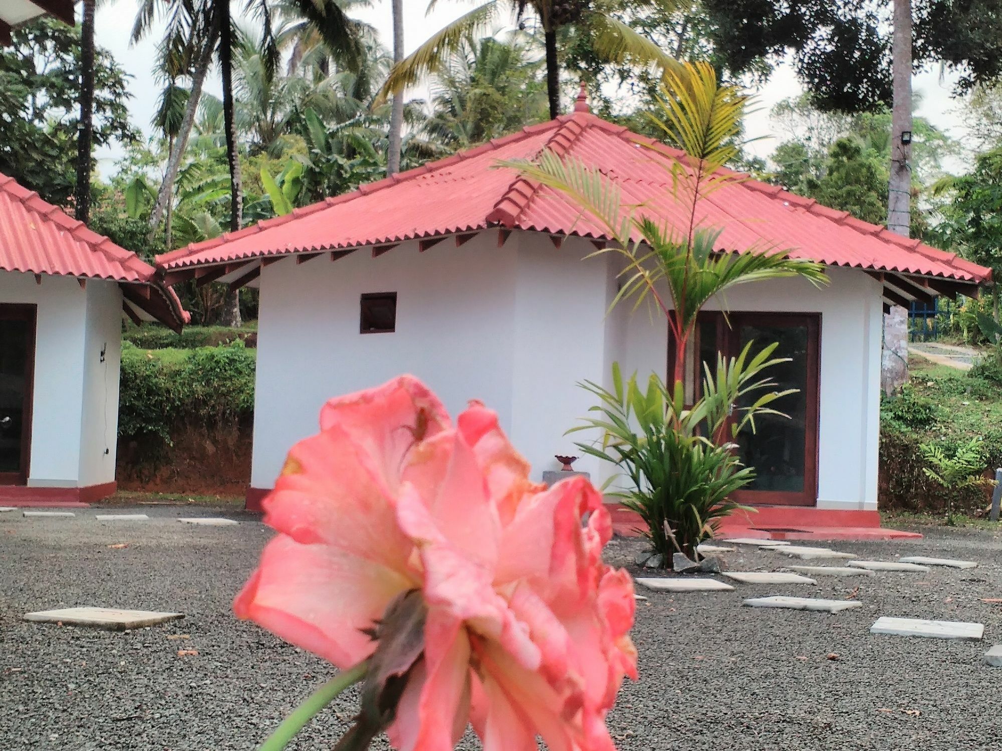 Blue Whale Lagoon Resort Ahangama Exterior foto