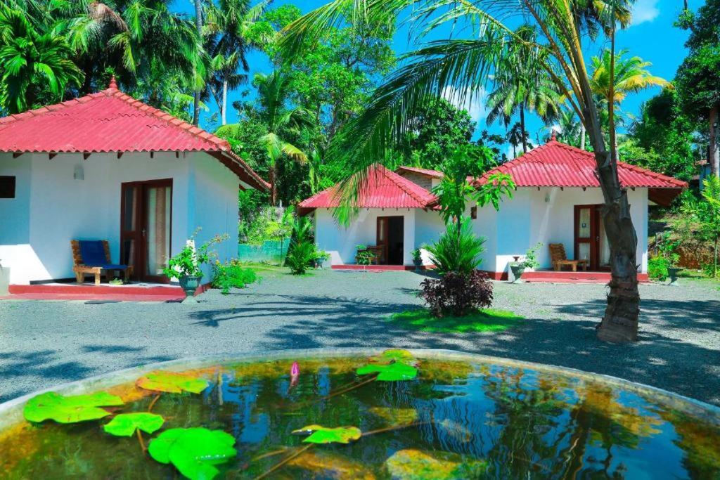 Blue Whale Lagoon Resort Ahangama Exterior foto