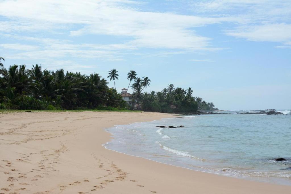 Blue Whale Lagoon Resort Ahangama Exterior foto