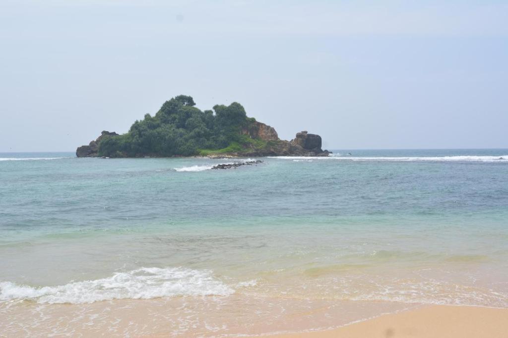 Blue Whale Lagoon Resort Ahangama Exterior foto