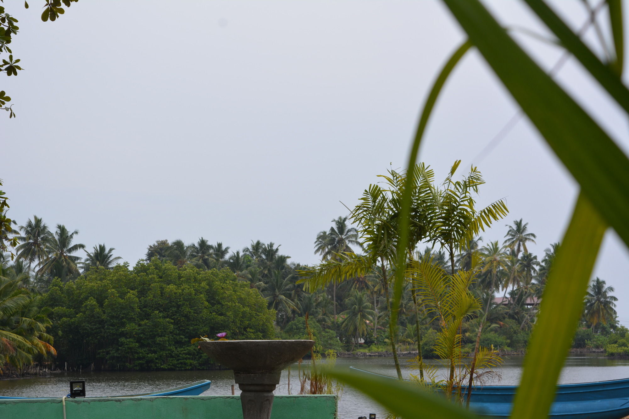 Blue Whale Lagoon Resort Ahangama Exterior foto