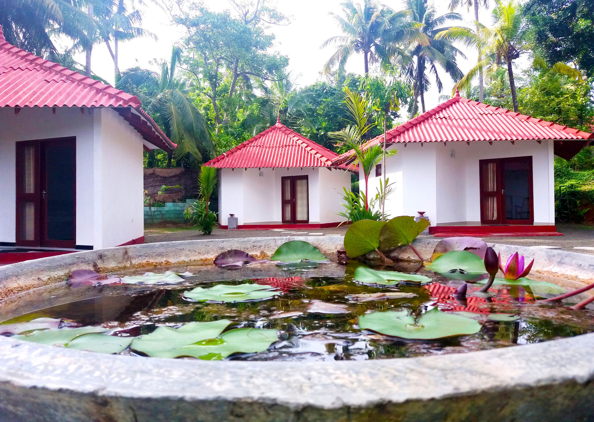 Blue Whale Lagoon Resort Ahangama Exterior foto